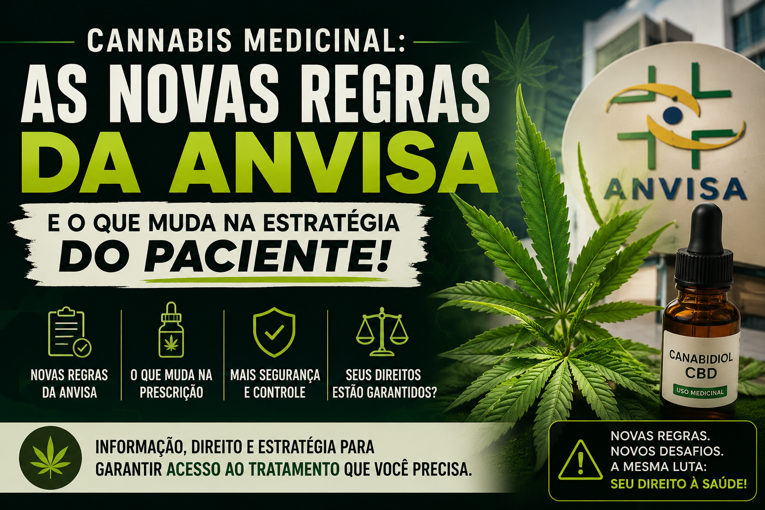 Cannabis medicinal e novas regras da Anvisa sobre acesso ao tratamento, regulamentação sanitária e direitos dos pacientes.
